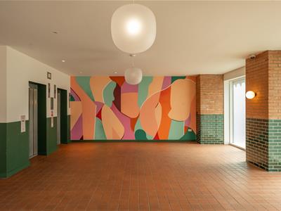 Picture 27